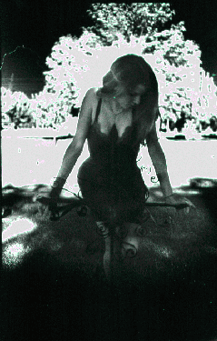 Zanzor would love this spooky graveyard pic!